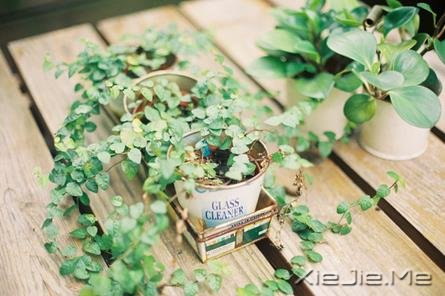 欲望是一片大海,人生是一叶孤舟