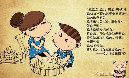 2014���ڰ��������Ǳ���򾭵����