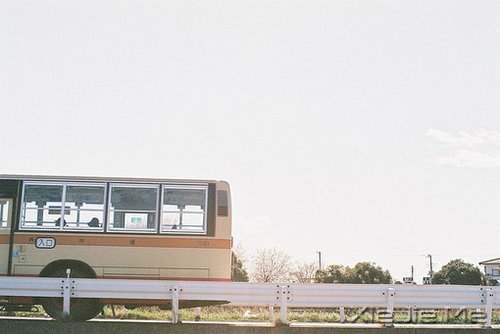 ��̬���ã��������� (8)