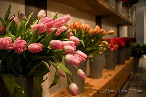 ��Ҫ������ң�ֻ�󰲰����� (8)