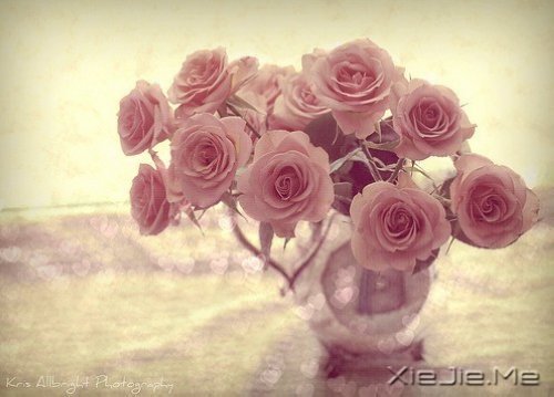 ��һ�����ɣ�ȥ�������� (2)