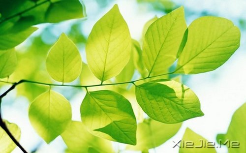 ƽ���밲���������������һ������ (7)