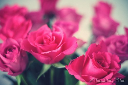 ������;���������� (8)