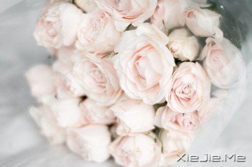 ʱ��������ֻ������һȥ���� (3)