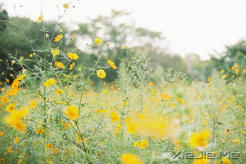 ·���ഺһ���ӣ��������ǳһ���� (3)