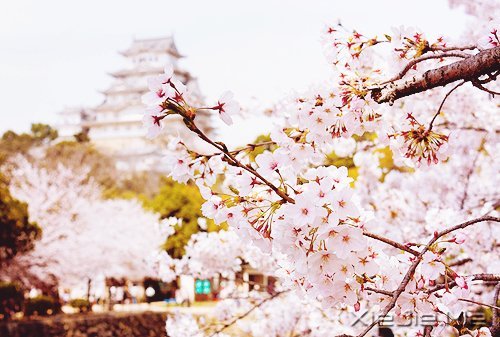 只要内心不乱,外界就很难改变你什么 (5)