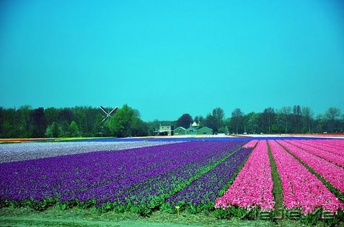 期待一个温柔的距离,保鲜所有美好的记忆 (9)