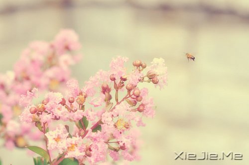 不要踩着别人的脚印,找自己的路 (1)
