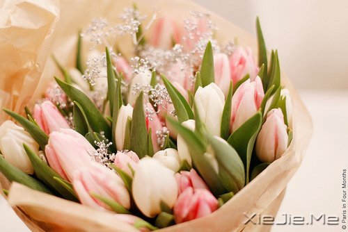 人生最清晰的脚印,往往印在最泥泞的路上 (6)