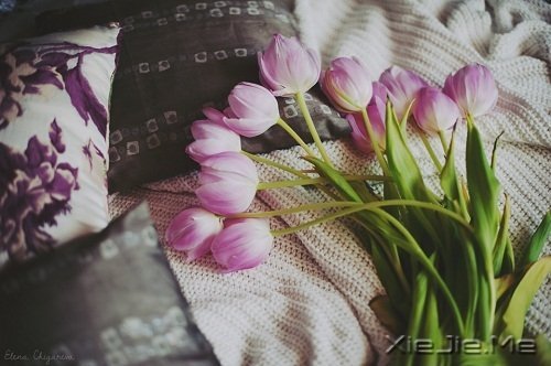 愿在我最美的时光,遇见最美好的你 (2)