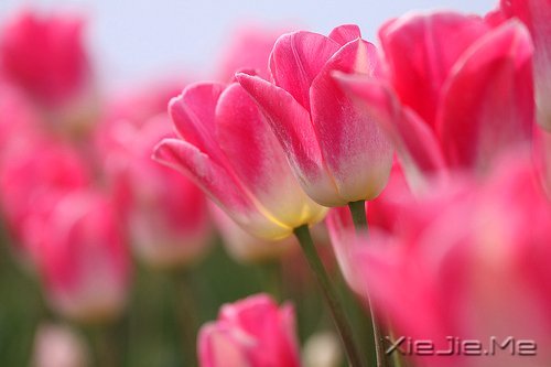 跑不过时间就跑过昨天的自己 (6)