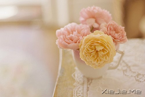 ����Ĺ¶�����һƬ�ڰ���������ֻ�ܿ����Լ� (2)