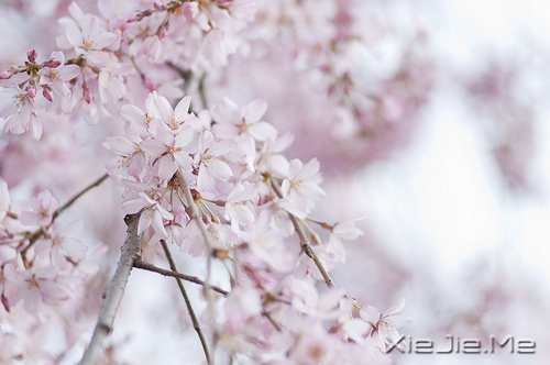 不要嘲笑别人的疤,那只是你没有经历过的伤 (8)