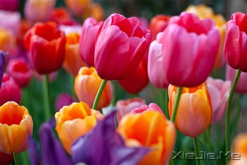 幸福应该是来得巧,而不是来得多 (5)