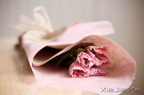 容易衰老的不是容颜,而是不敢进取的心 (4)