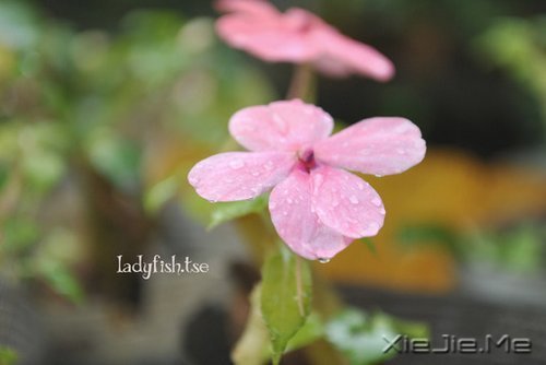 ���µģ��������� (5)