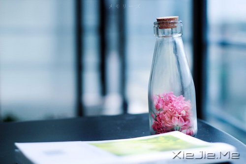 晚安心语:给时光以生命,而不是给生命以时光 (4)