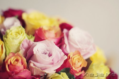 �簲�������ǰ�ߣ��㽫��Զͣ�� (4)