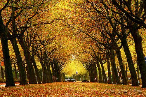 �簲�����ȥ�ľ͹�ȥ�ˣ�������Ȼ���� (8)