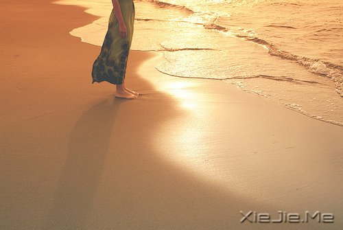 ���������������ڰ�����������ƻ� (7)