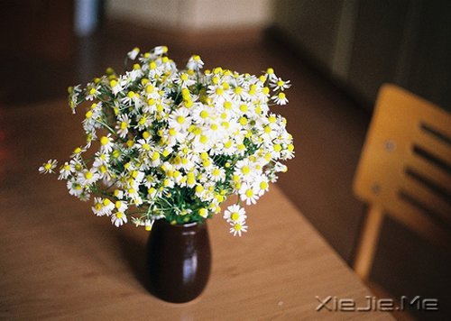 晚安心语:每一段青春都会苍老,但我希望记忆里的你一直都好 (5)