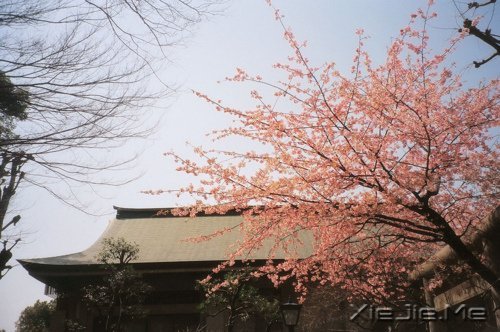 早安心语:生活中最大的幸福是坚信有人爱着我们 (7)