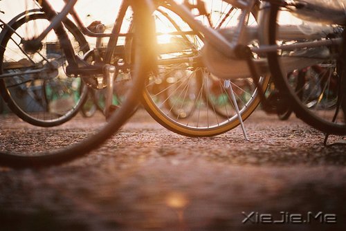 ������������������峺���� (4)