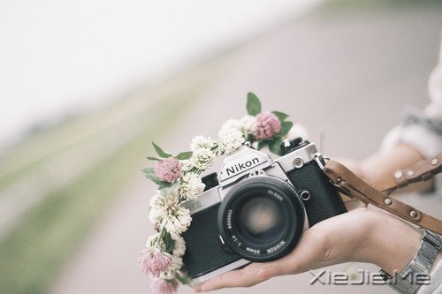 �������ѧ��õı��ˣ�����õ��Լ� (3)