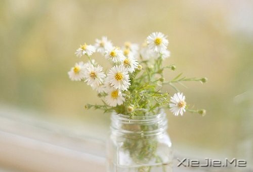 如果时间可以倒退,一切也就不再珍贵 (3)