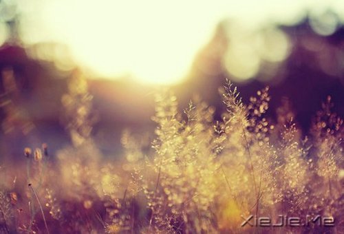 ��ʱ��Ķɿڣ����ǽ��ǹ��� (6)