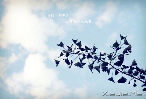 幸福是自己的,永远不要拿别人来做参照 (7)