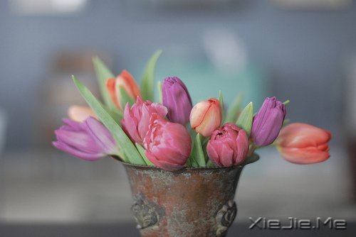 晚安心语:遇见,就是幸福 (8)