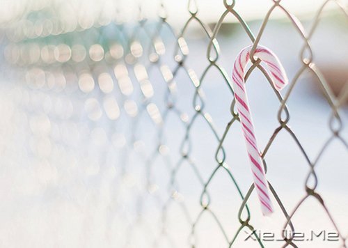 最美好的总会在不经意间出现 (3)