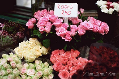 ����������ı���Ⱦ���ľ���Ȼ�� (4)