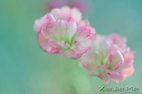 ���������Ļ��������ִܵ����ĵķ��� (2)