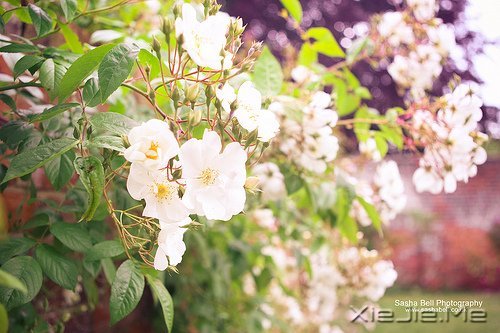 �簲�����Ҫ���������õĳ��� (5)