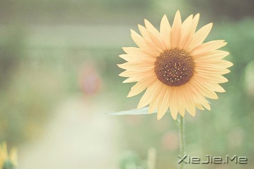 �簲�����Ҫ���������õĳ��� (10)