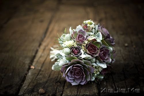 早安心语:你看事情太明白,往往就失了做事的勇气 (3)