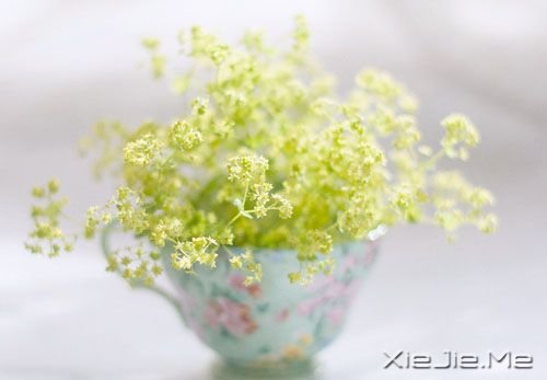 早安心语:你看事情太明白,往往就失了做事的勇气 (5)