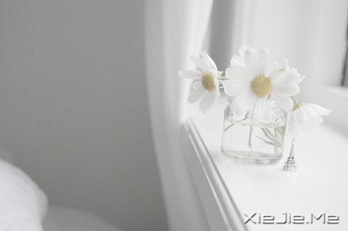 早安心语:对未来的真正慷慨,是把一切献给现在 (8)