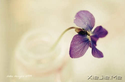 早安心语:就算世界荒芜,也总有一个人是你的信徒 (8)