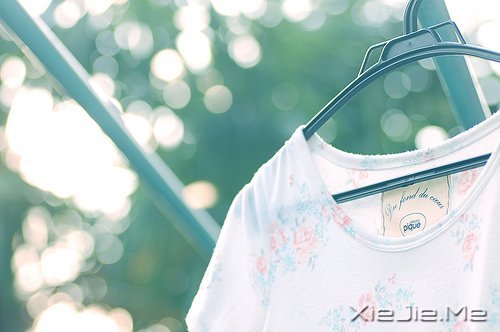 早安心语:成为自己想成为的人,这从来不迟 (8)