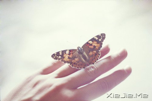 �簲����Ҹ���һ���ọ́�������һ���յ� (2)