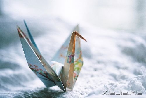 �������ֻҪ�������ڣ��ݳ���û����Ļ (6)