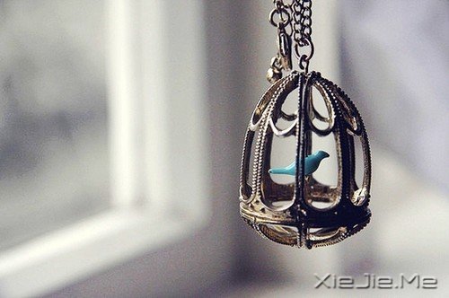 ���������Ҫ��Ϊ�ߵ�̫Զ����������Ϊʲô���� (9)