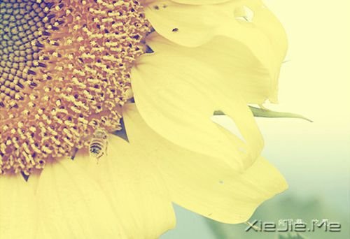 �簲���ͯ��δ������һ��ֵ�ý��������� (1)