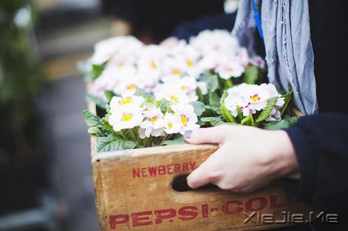 早安心语:用你的脚步,把世界走成爱的风景 (4)