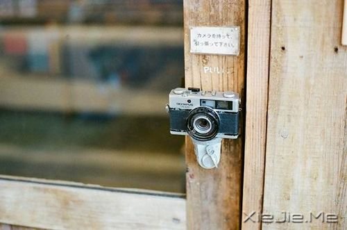 早安心语:用你的脚步,把世界走成爱的风景 (8)