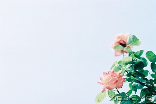 �����������һ�ο���������˲�䳤�� (5)