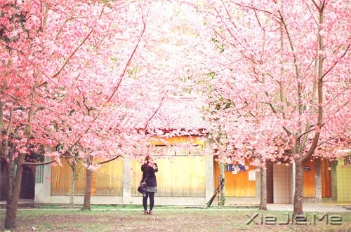 �簲������ķ��򣬸��ʺϷ��� (1)